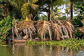 Kerala backwaters, our three hours neighborhood tour in the narrow canoe towards Vembanad Lake and along one of the  narrow canal running near our guest house at Kumarakom. 